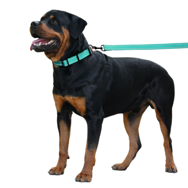 Повідець для Собак Bronzedog Active Нейлоновий зі Світловідбиттям Ментоловий