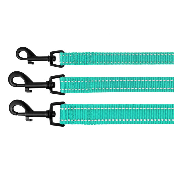 Повідець для Собак Bronzedog Active Нейлоновий зі Світловідбиттям Ментоловий