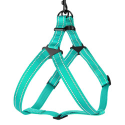 Шлея для Собак BronzeDog Active Нейлонова зі Світловідбиттям Ментолова