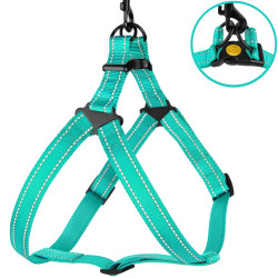 Шлея для Собак BronzeDog Active Нейлонова зі Світловідбиттям Ментолова