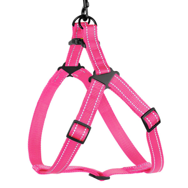 Шлея для Собак BronzeDog Active Нейлонова зі Світловідбиттям Рожева