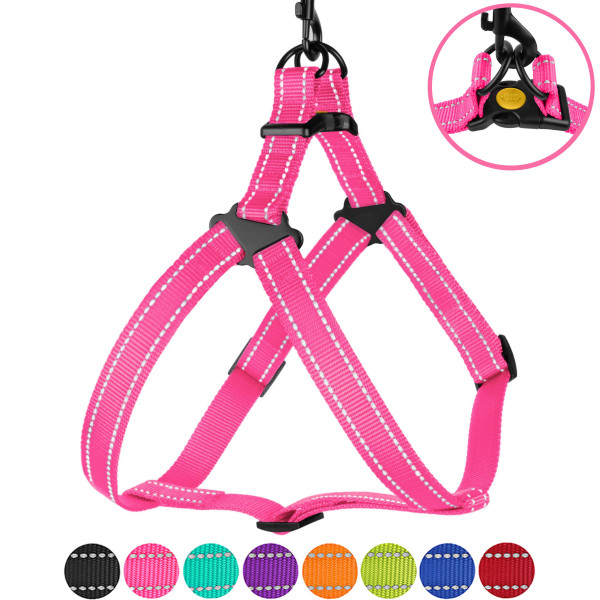 Шлея для Собак BronzeDog Active Нейлонова зі Світловідбиттям Рожева