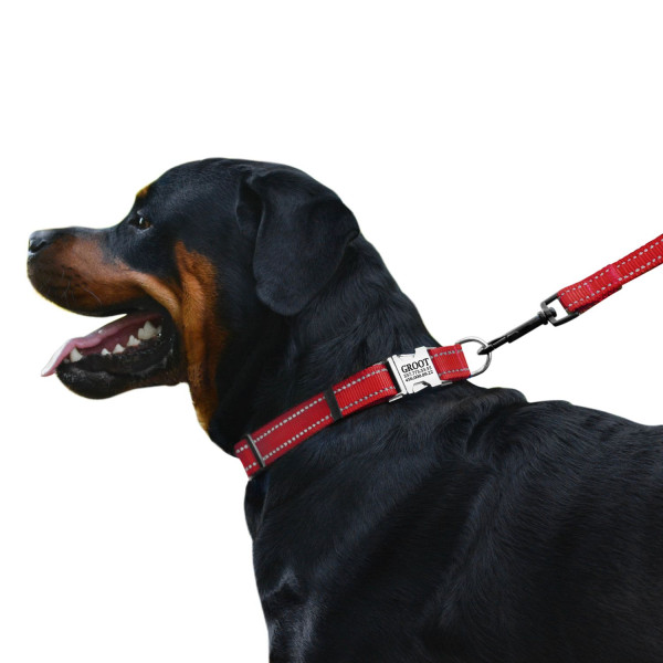 Нашийник для Собак BronzeDog Active Нейлоновий зі Світловідбиттям та Металевою Пряжкою Червоний