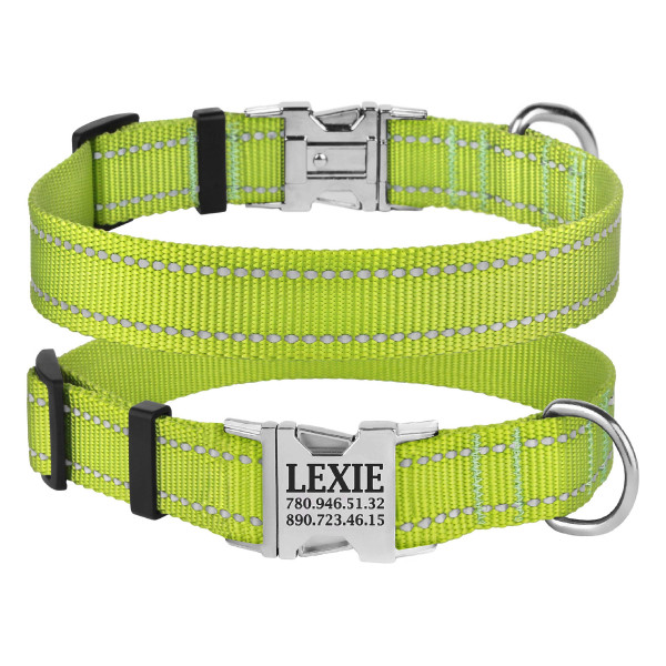Нашийник для Собак BronzeDog Active Нейлоновий зі Світловідбиттям та Металевою Пряжкою Салатовий