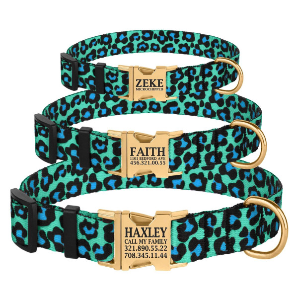 Нашийник для Собак BronzeDog Urban Леопард Нейлоновий з Металевою Пряжкою Золотистого Колір Бірюзовий