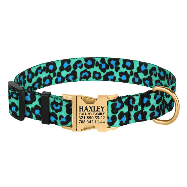 Нашийник для Собак BronzeDog Urban Леопард Нейлоновий з Металевою Пряжкою Золотистого Колір Бірюзовий