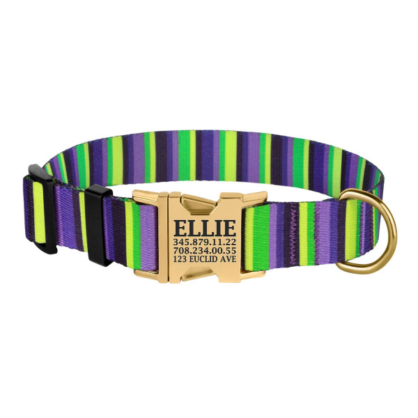 Нашийник для Собак BronzeDog Urban Полоска Нейлоновий з Металевою Пряжкою Фіолетово-Салатовий