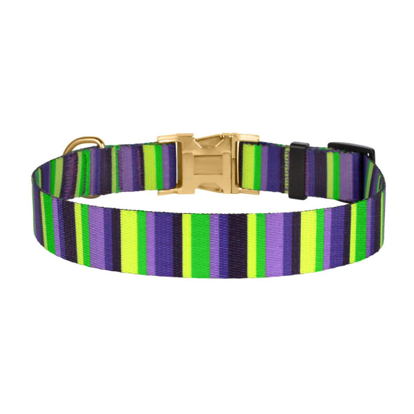 Нашийник для Собак BronzeDog Urban Полоска Нейлоновий з Металевою Пряжкою Фіолетово-Салатовий
