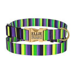 Нашийник для Собак BronzeDog Urban Полоска Нейлоновий з Металевою Пряжкою Фіолетово-Салатовий