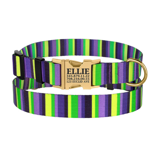 Нашийник для Собак BronzeDog Urban Полоска Нейлоновий з Металевою Пряжкою Фіолетово-Салатовий