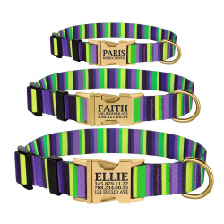 Нашийник для Собак BronzeDog Urban Полоска Нейлоновий з Металевою Пряжкою Фіолетово-Салатовий