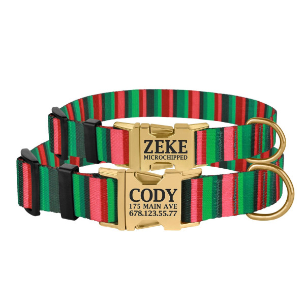 Нашийник для Собак BronzeDog Urban Полоска Нейлоновий з Металевою Пряжкою Червоно-Зелений