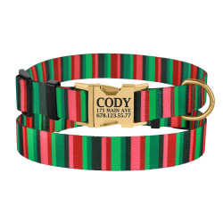 Нашийник для Собак BronzeDog Urban Полоска Нейлоновий з Металевою Пряжкою Червоно-Зелений