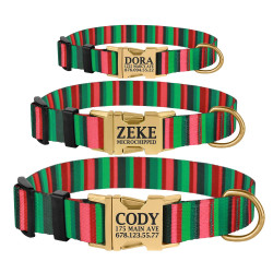 Нашийник для Собак BronzeDog Urban Полоска Нейлоновий з Металевою Пряжкою Червоно-Зелений