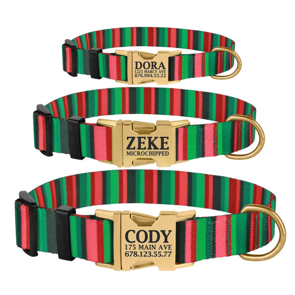 Нашийник для Собак BronzeDog Urban Полоска Нейлоновий з Металевою Пряжкою Червоно-Зелений