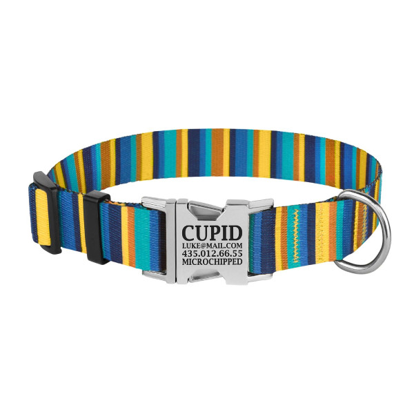 Нашийник для Собак BronzeDog Urban Полоска Нейлоновий з Металевою Пряжкою Жовто-Синій
