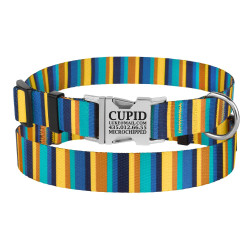 Нашийник для Собак BronzeDog Urban Полоска Нейлоновий з Металевою Пряжкою Жовто-Синій