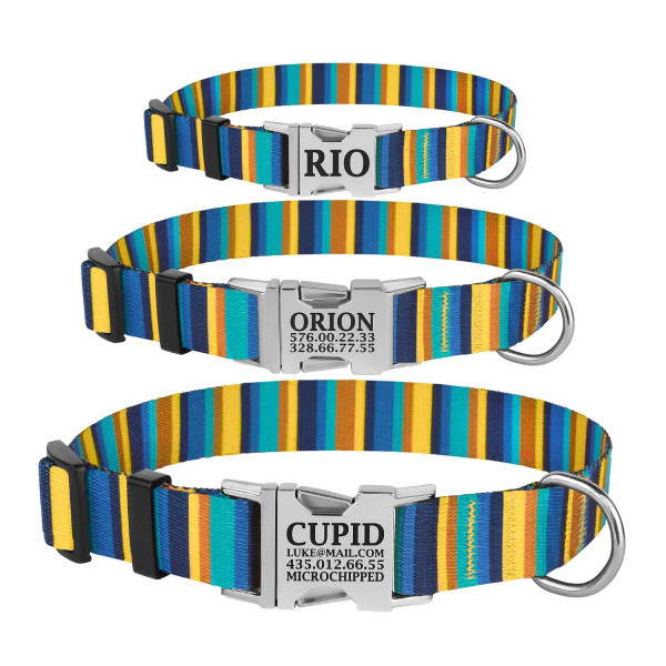 Нашийник для Собак BronzeDog Urban Полоска Нейлоновий з Металевою Пряжкою Жовто-Синій