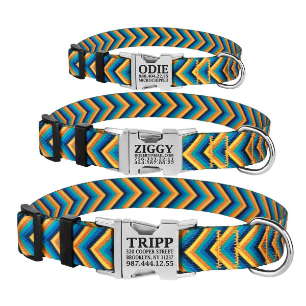 Нашийник для Собак BronzeDog Urban Стрілка Нейлоновий с Металевою Пряжкою Жовто-Синій