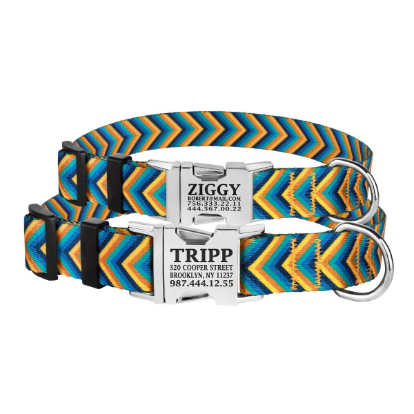 Нашийник для Собак BronzeDog Urban Стрілка Нейлоновий с Металевою Пряжкою Жовто-Синій