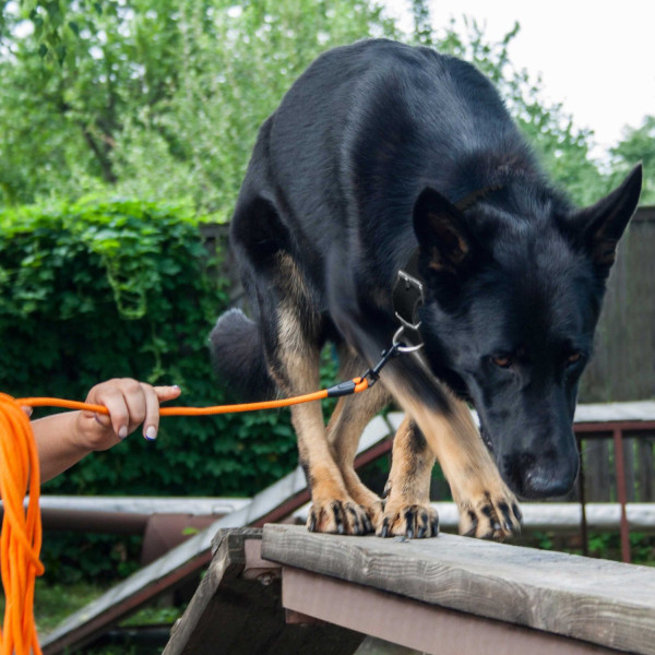Повідець для Собак Bronzedog Active зі Шнура Тренувальний Помаранчевий