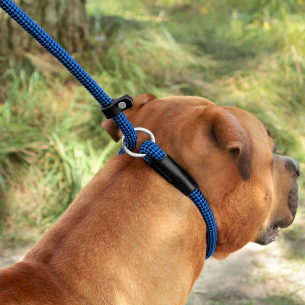 Повідець-Зашморг для Собак Bronzedog Active з Альпіністського Шнура Тренувальний Чорно-Блакитний