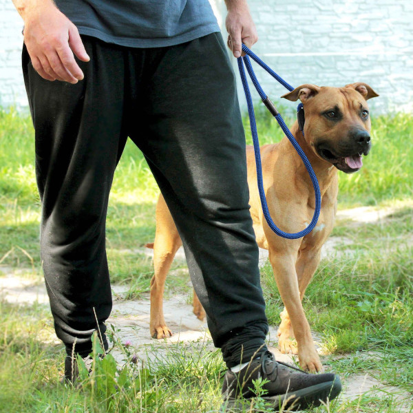Повідець-Зашморг для Собак Bronzedog Active з Альпіністського Шнура Тренувальний Чорно-Блакитний