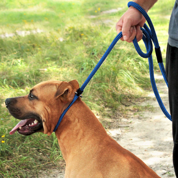 Повідець-Зашморг для Собак Bronzedog Active з Альпіністського Шнура Тренувальний Чорно-Блакитний