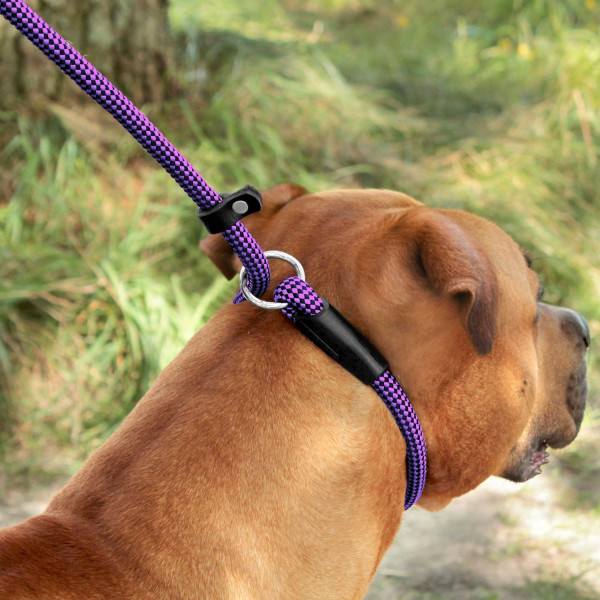 Повідець-Зашморг для Собак Bronzedog Active з Альпіністського Шнура Тренувальний Чорно-Фіолетовий