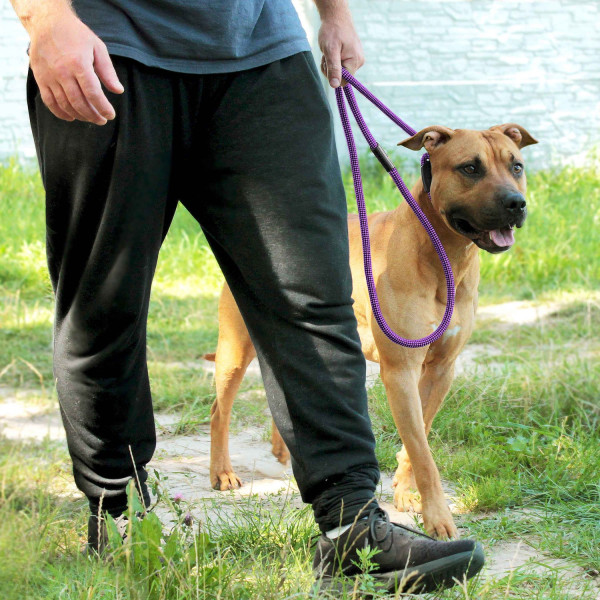 Повідець-Зашморг для Собак Bronzedog Active з Альпіністського Шнура Тренувальний Чорно-Фіолетовий