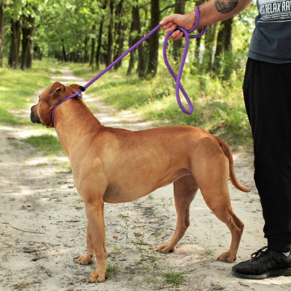 Повідець-Зашморг для Собак Bronzedog Active з Альпіністського Шнура Тренувальний Чорно-Фіолетовий