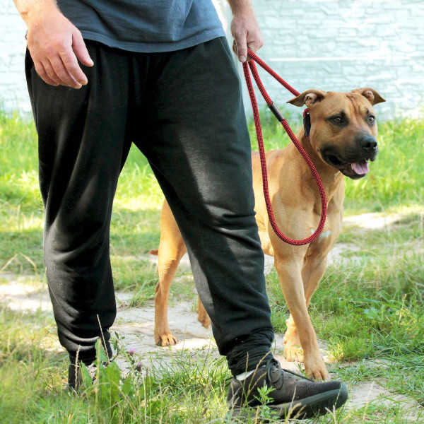 Повідець-Зашморг для Собак Bronzedog Active з Альпіністського Шнура Тренувальний Чорно-Червоний