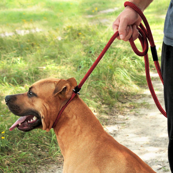 Повідець-Зашморг для Собак Bronzedog Active з Альпіністського Шнура Тренувальний Чорно-Червоний