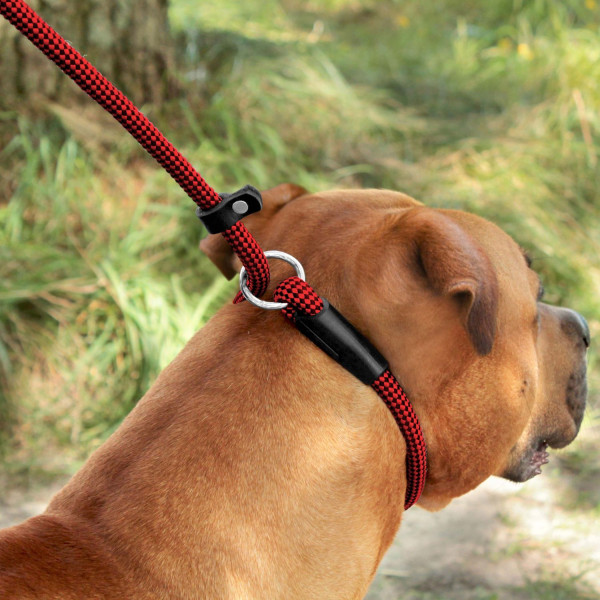 Повідець-Зашморг для Собак Bronzedog Active з Альпіністського Шнура Тренувальний Чорно-Червоний