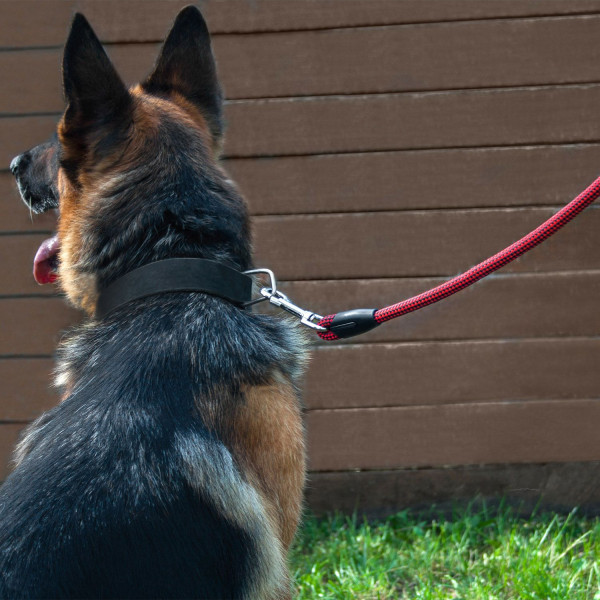 Повідець для Собак Bronzedog Active з Альпіністського Шнура Чорно-Червоний