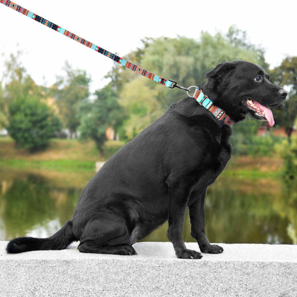 Нашийник для Собак Мартінґейл BronzeDog Urban Нейлоновий з Металевою Фурнітурою Ацтеки