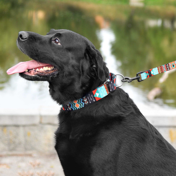 Нашийник для Собак Мартінґейл BronzeDog Urban Нейлоновий з Металевою Фурнітурою Ацтеки