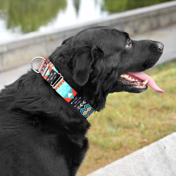 Нашийник для Собак Мартінґейл BronzeDog Urban Нейлоновий з Металевою Фурнітурою Ацтеки