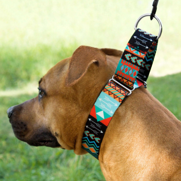 Нашийник для Собак Мартінґейл BronzeDog Urban Нейлоновий з Металевою Фурнітурою Ацтеки