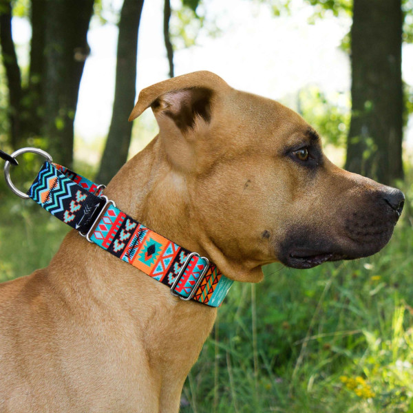 Нашийник для Собак Мартінґейл BronzeDog Urban Нейлоновий з Металевою Фурнітурою Ацтеки