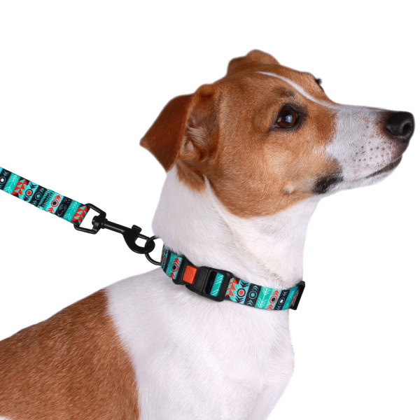 Повідець для Собак Bronzedog Urban Нейлоновий 3 метри Інки