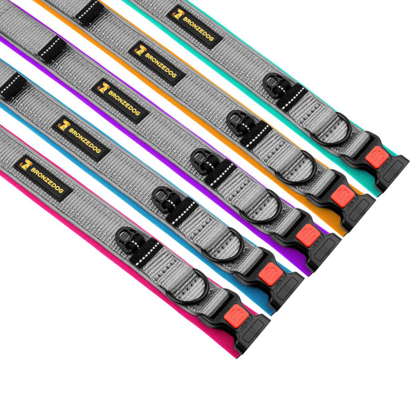 Нашийник для Собак BronzeDog Sport Сіро-Блакитний