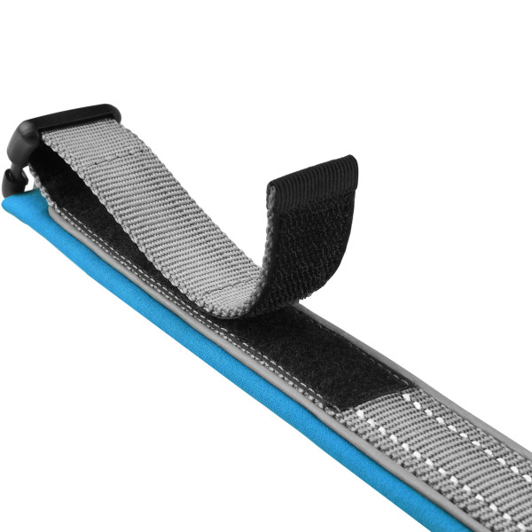 Нашийник для Собак BronzeDog Sport Сіро-Блакитний