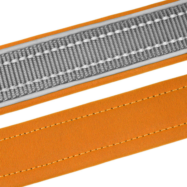 Нашийник для Собак BronzeDog Sport Сіро-Помаранчевий