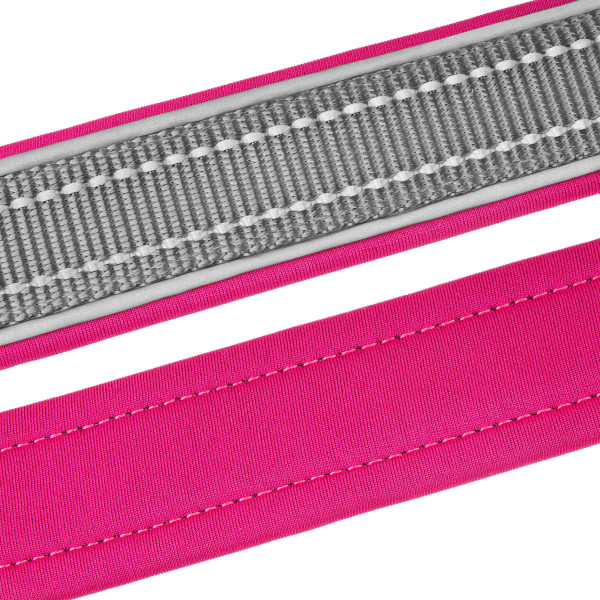 Нашийник для Собак BronzeDog Sport Сіро-Рожевий