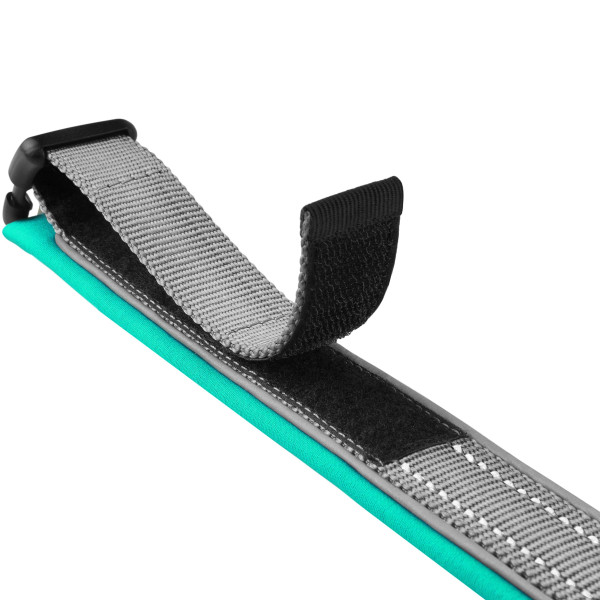 Нашийник для Собак BronzeDog Sport Сіро-Бірюзовий