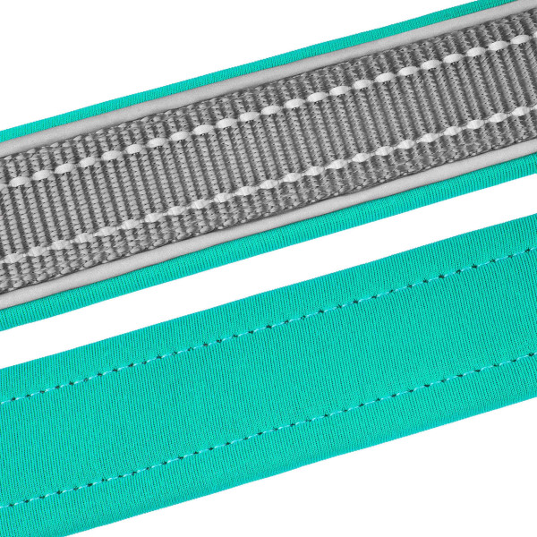 Нашийник для Собак BronzeDog Sport Сіро-Бірюзовий