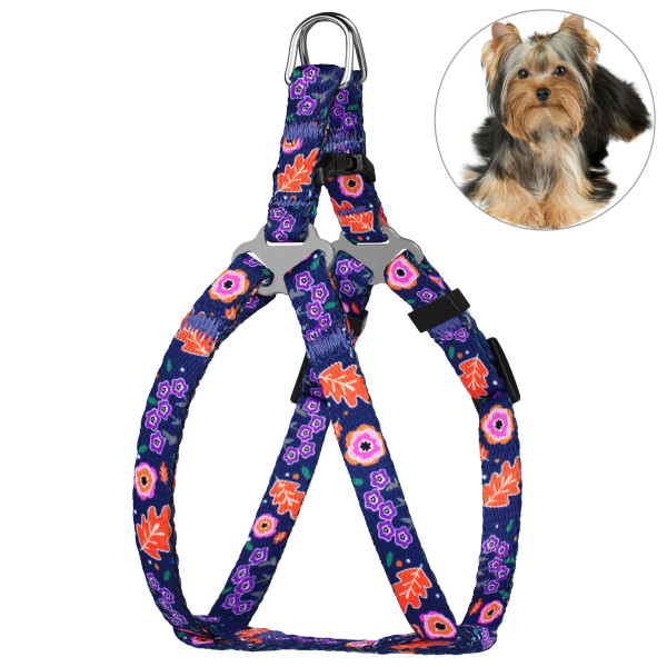 Шлея для Собак Дрібних Порід BronzeDog Urban Квіти Синя