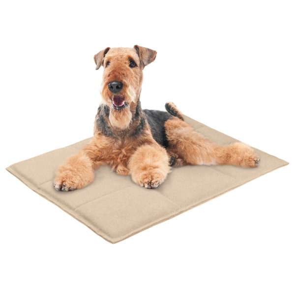 Підстилка для домашніх тварин BronzeDog Прямокутна Бежева