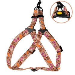 Шлея для Собак BronzeDog Urban Квіти Нейлонова Бежева